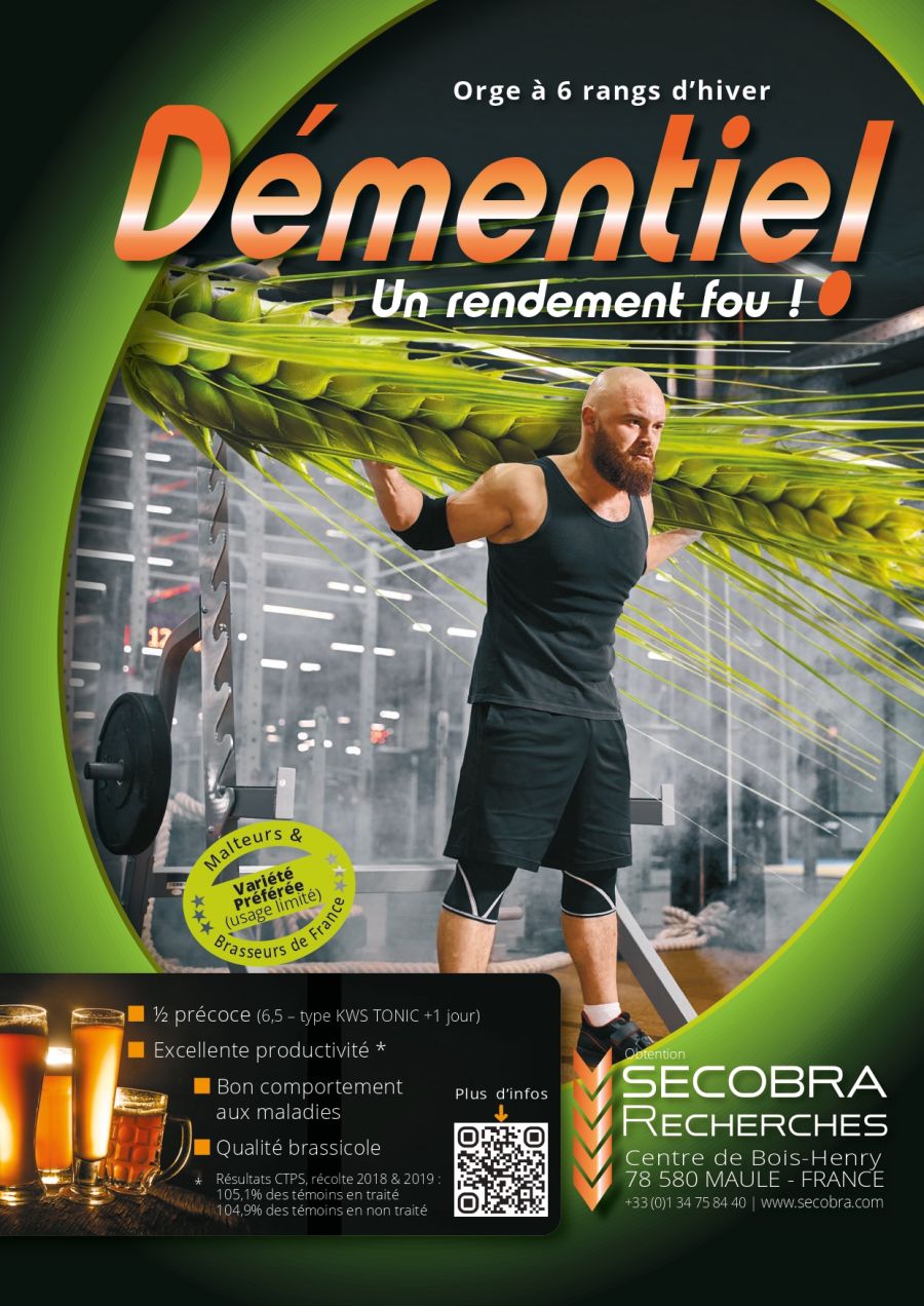 Démentiel - Orge d’hiver 6 rangs - Brassicole