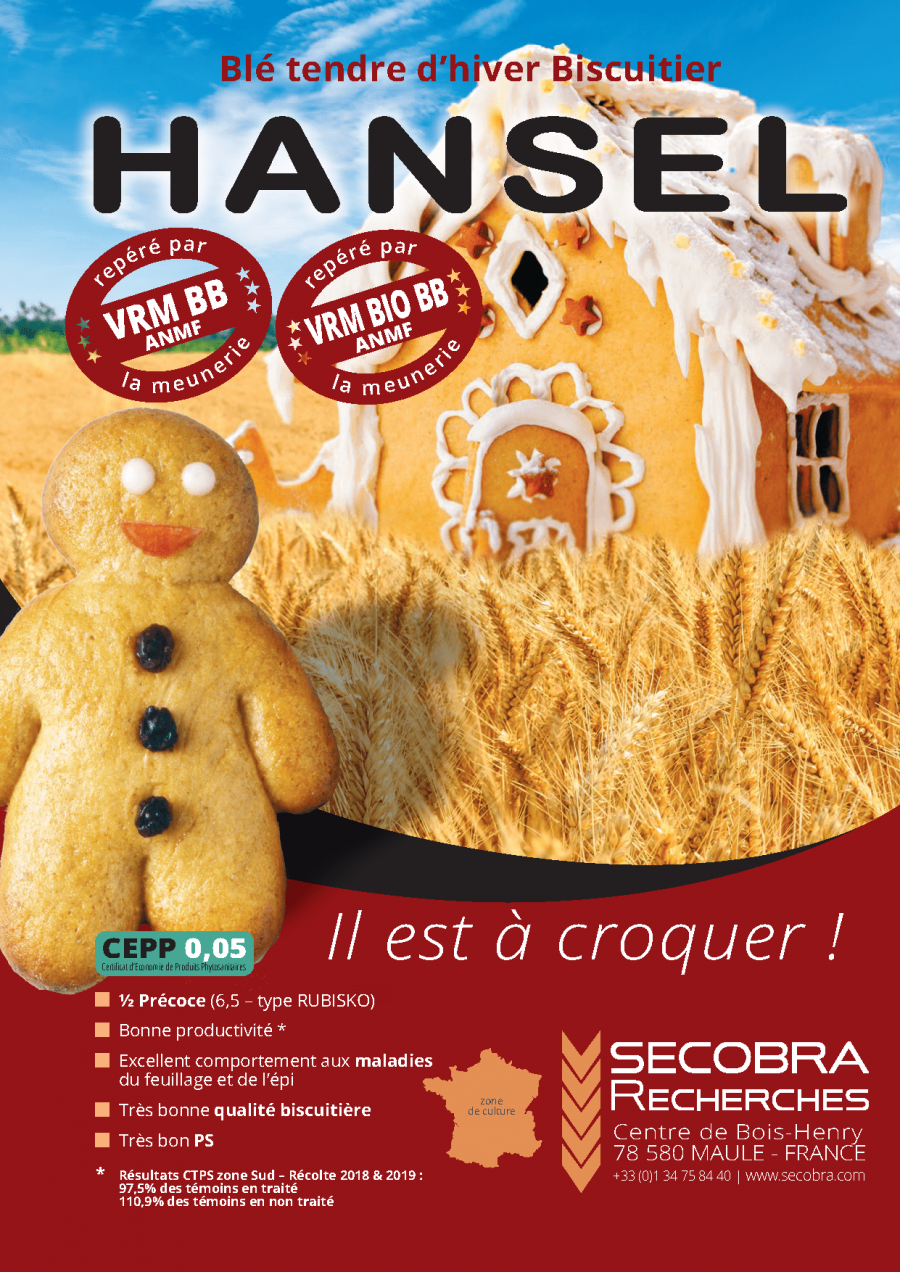 Hansel - Blé Tendre d’Hiver - Biscuitier