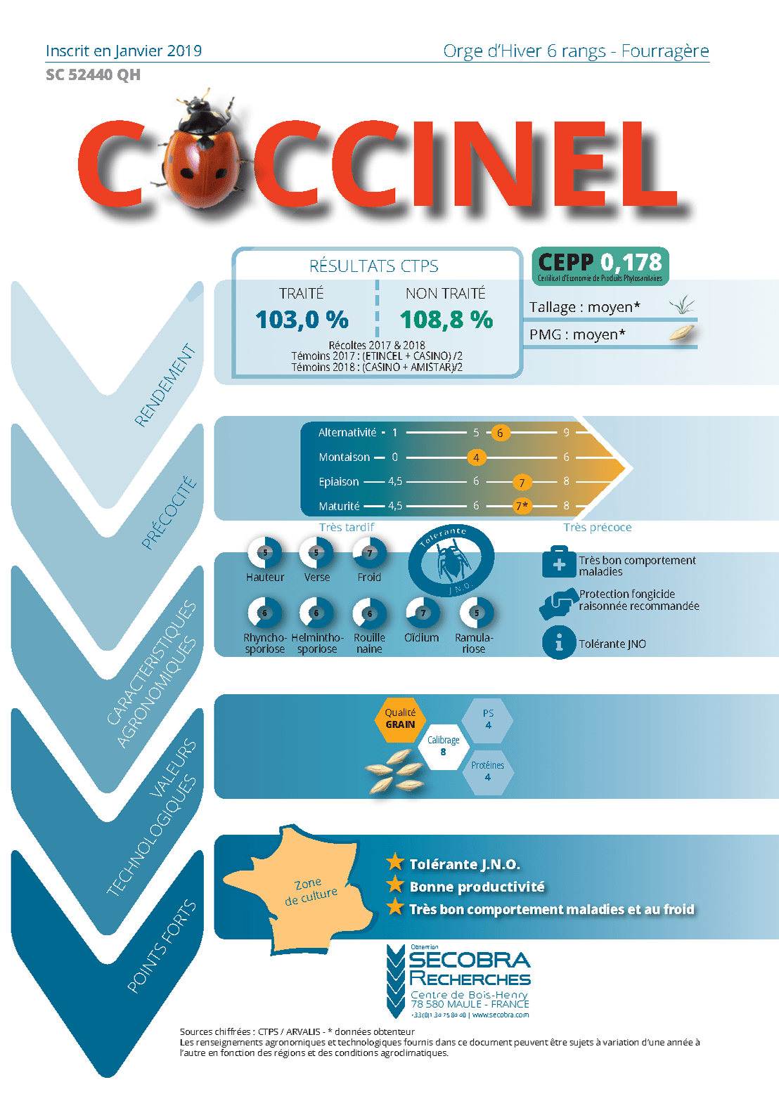 Coccinel - Orge d’Hiver 6 rangs - Fourragère