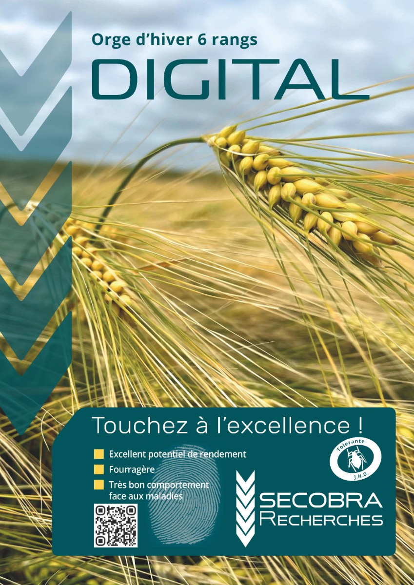 DIGITAL : orge d’hiver fourragère