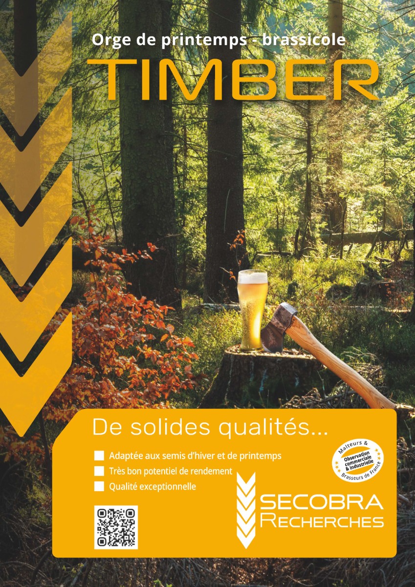 TIMBER - Orge de printemps | Brassicole