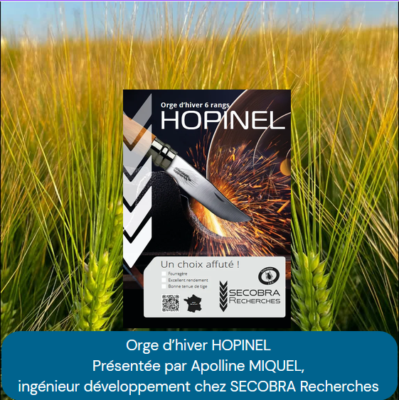 video orge fourragere hopinel productive