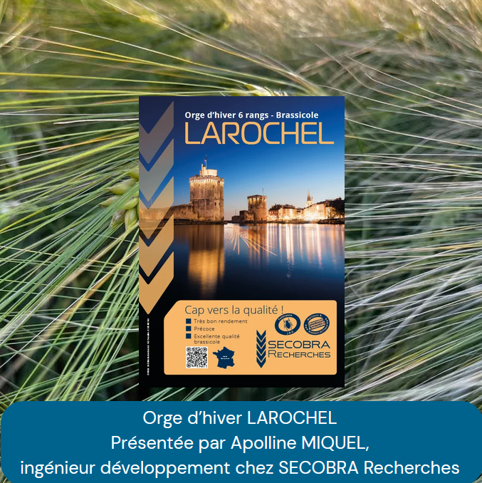 video orge brasserie brassicole