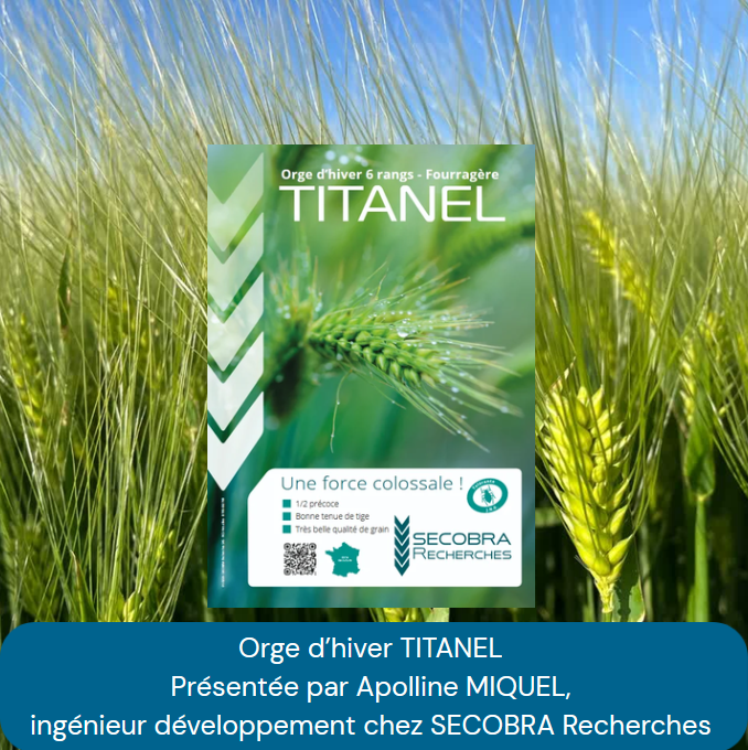 video orge fourragere titanel productive