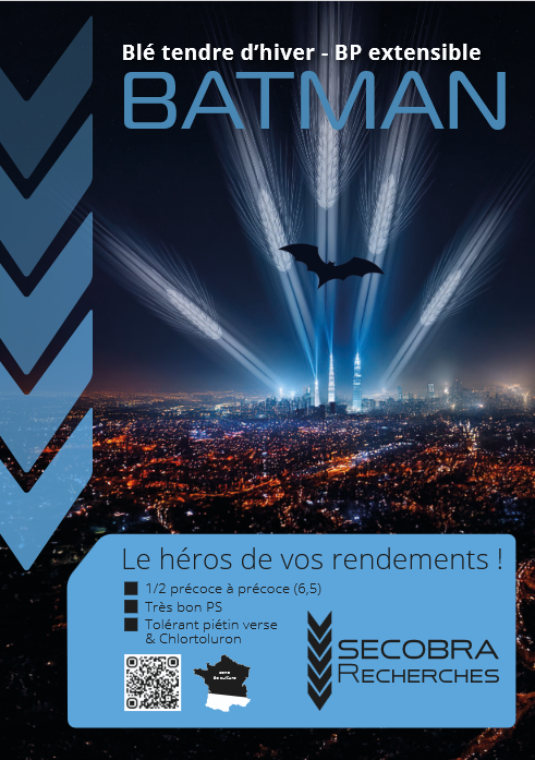  Batman. Blé Tendre d’Hiver | BP