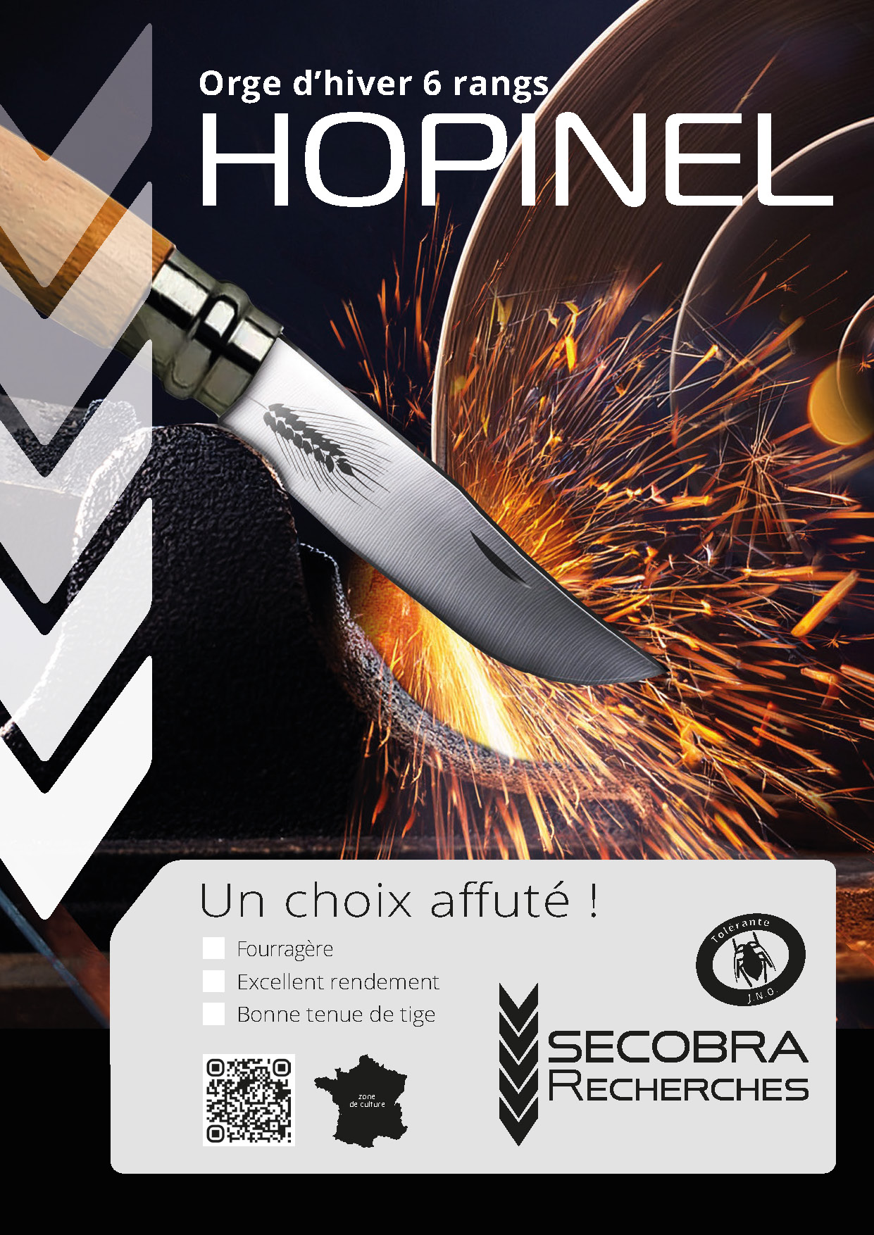 Hopinel - Orge d’hiver | 6 rangs | Brassicole et Fourragère