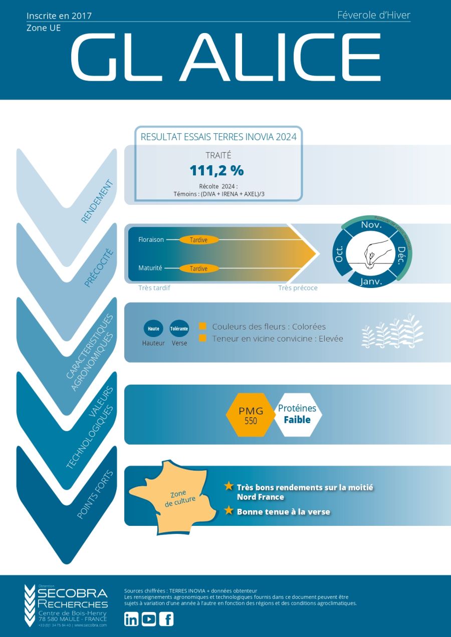 GL ALICE - F&eacute;verole d&rsquo;hiver